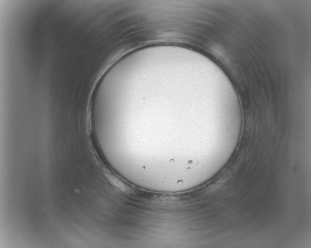 X0000074341370200609230107