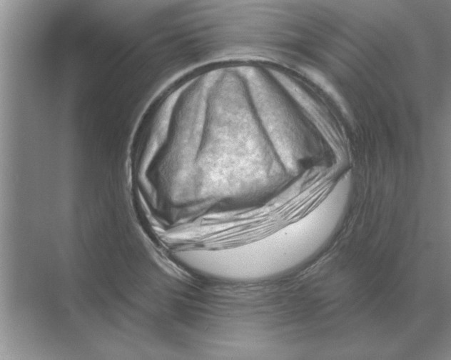 X0000074341372200609230107