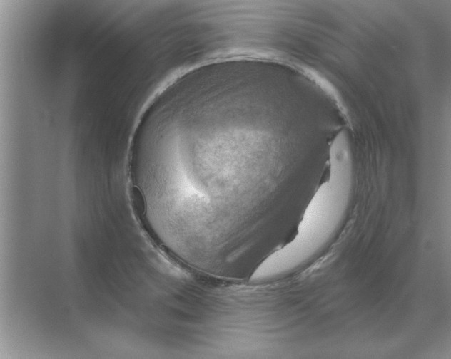 X0000074341373200609230107