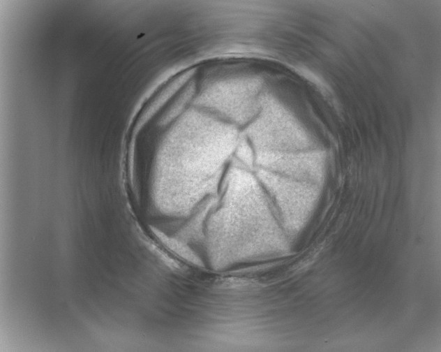 X0000074341374200609230107