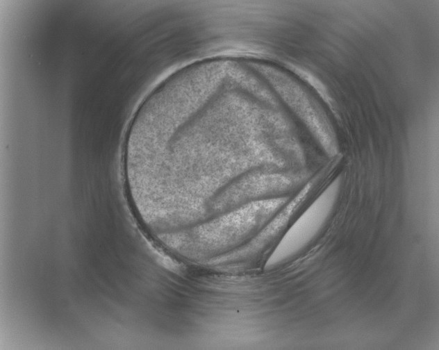 X0000074341375200609230107