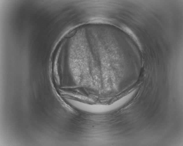 X0000074341376200609230107