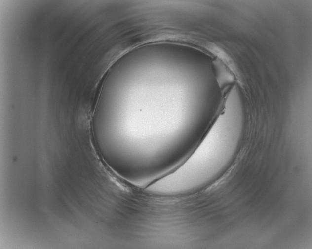 X0000074341377200609230107