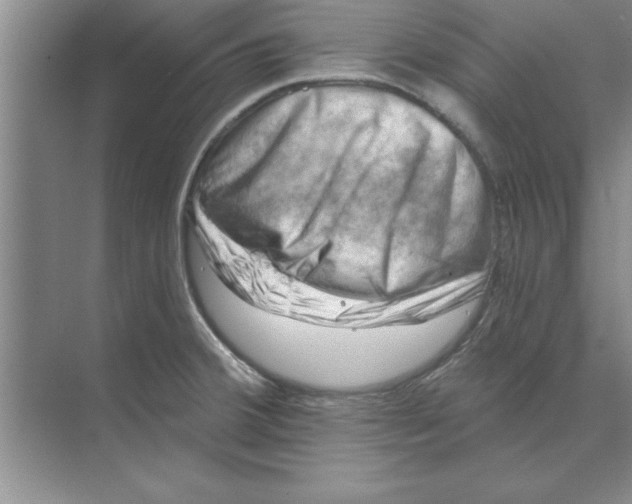 X0000074341380200609230107