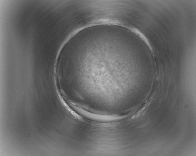 X0000074341381200609230107