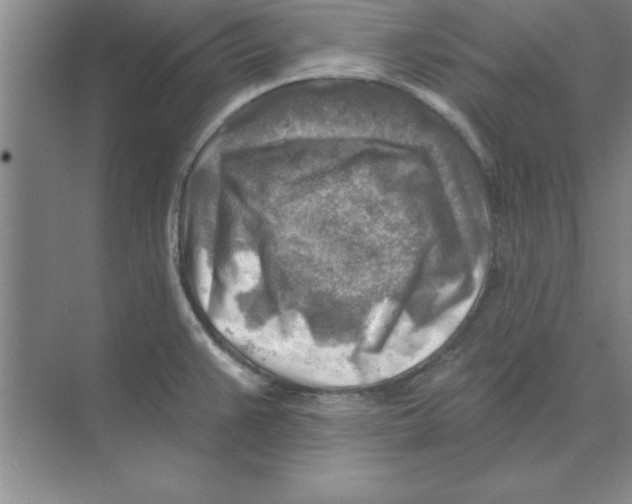 X0000074341383200609230107