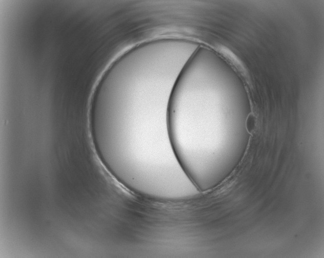 X0000074341384200609230107