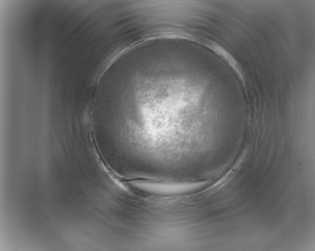 X0000074341385200609230107