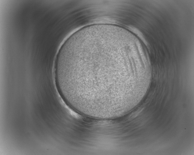 X0000074341387200609230107