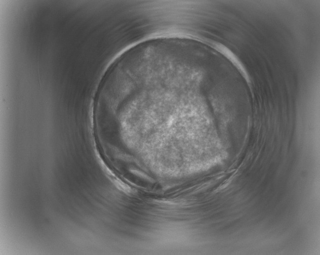 X0000074341388200609230107