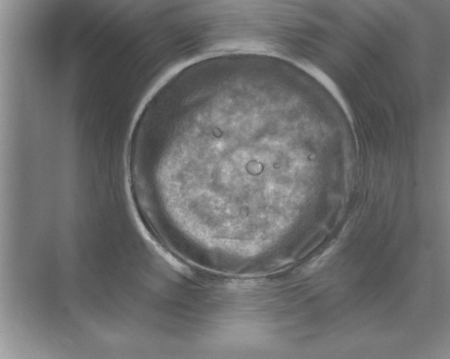 X0000074341389200609230107