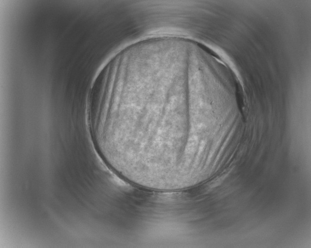 X0000074341390200609230107