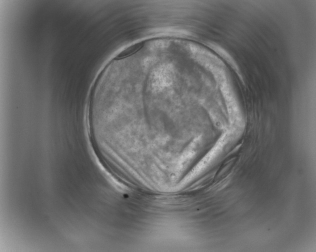 X0000074341391200609230107