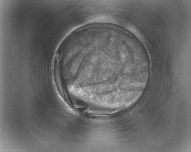 X0000074341392200609230107