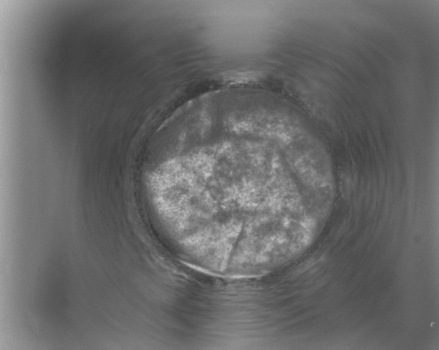 X0000074341393200609230106