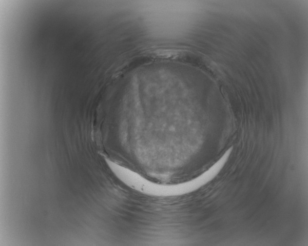 X0000074341394200609230106