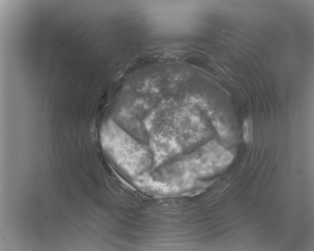 X0000074341395200609230106