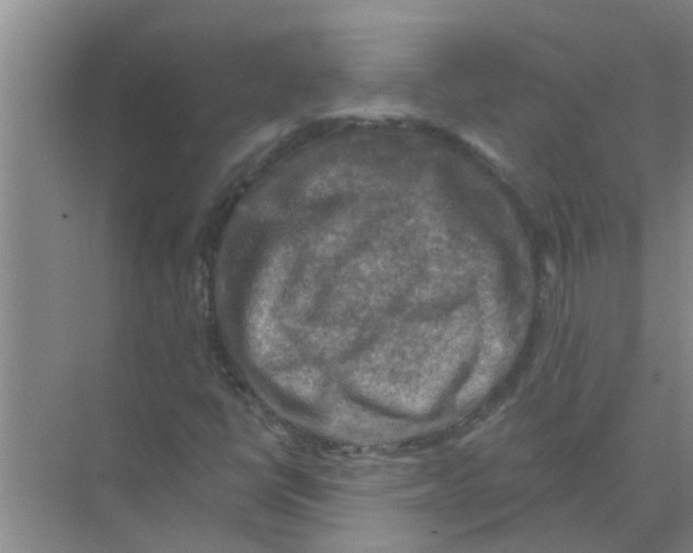 X0000074341398200609230106