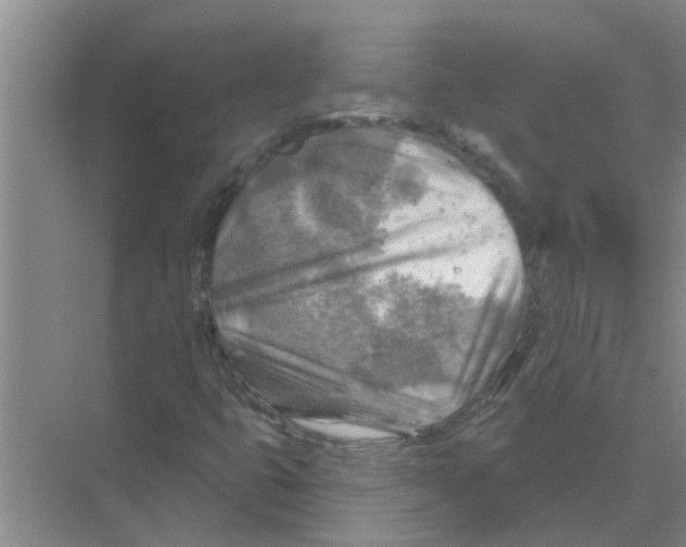 X0000074341399200609230106