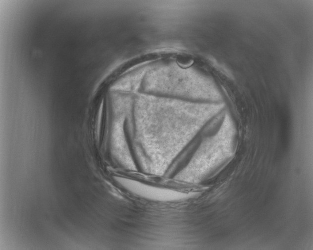 X0000074341400200609230106