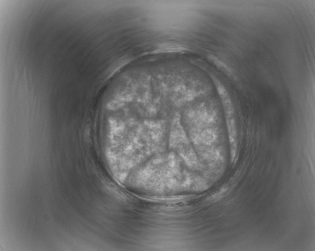 X0000074341401200609230106