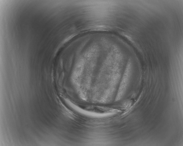 X0000074341402200609230106