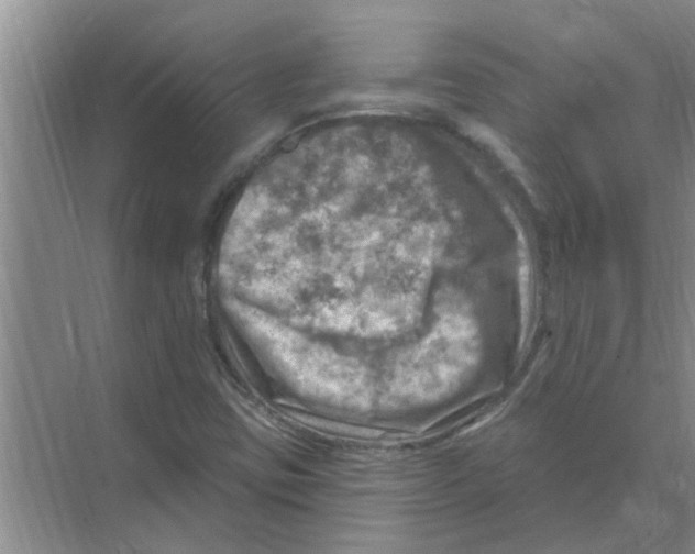 X0000074341403200609230106