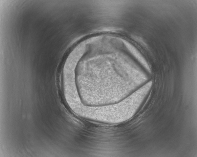 X0000074341404200609230106