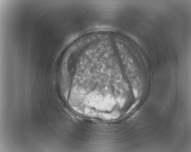 X0000074341405200609230106