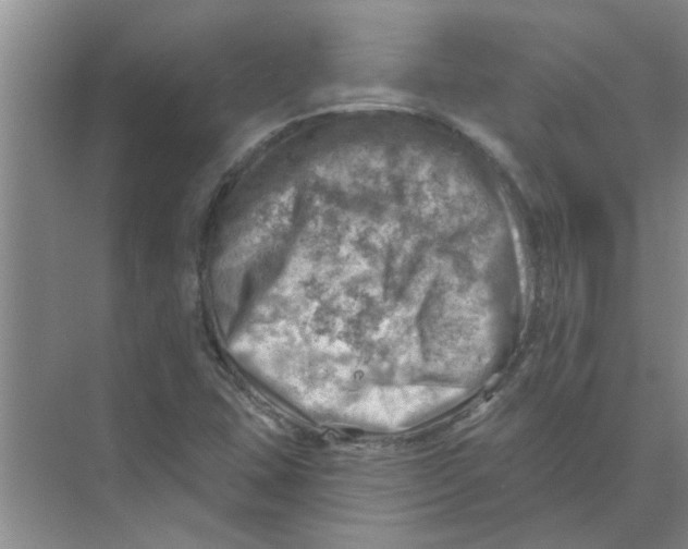 X0000074341407200609230106