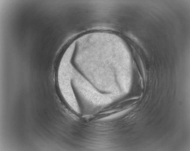 X0000074341408200609230106