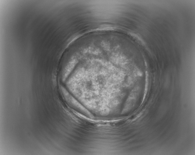 X0000074341409200609230106