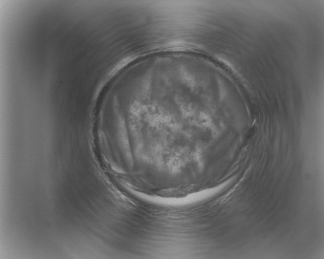 X0000074341410200609230106