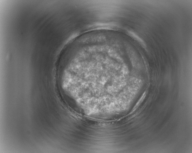 X0000074341411200609230106