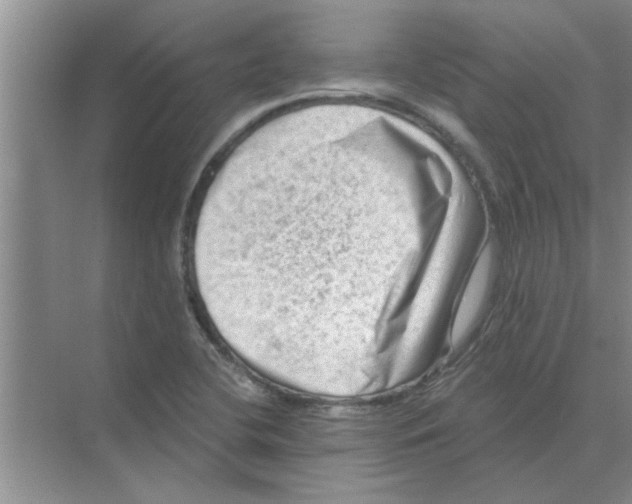 X0000074341412200609230106