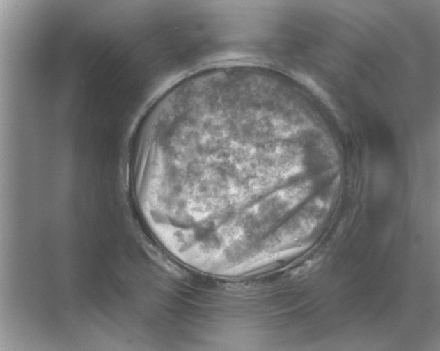 X0000074341413200609230106