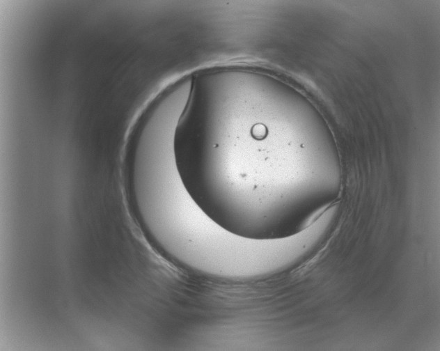 X0000074341414200609230106