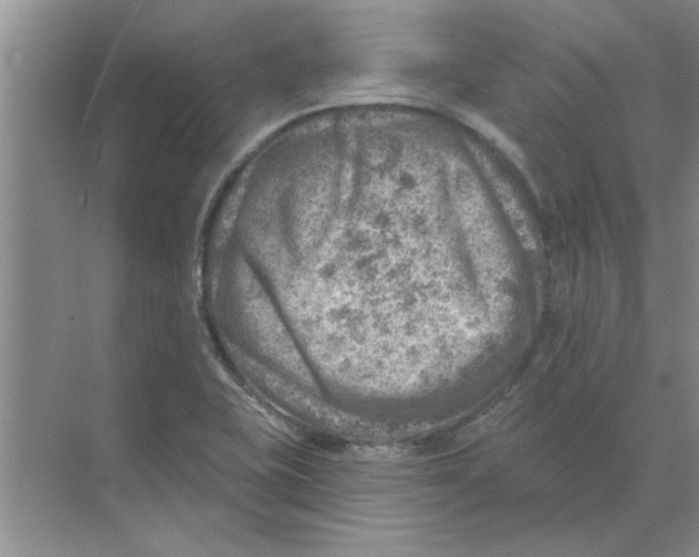 X0000074341415200609230106