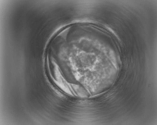 X0000074341416200609230106