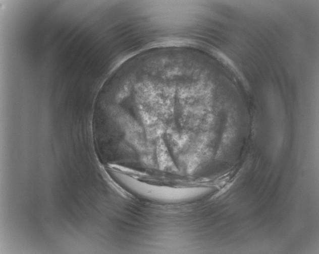 X0000074341417200609230106