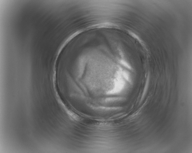 X0000074341418200609230106