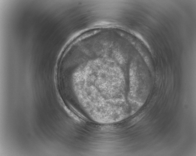 X0000074341421200609230106