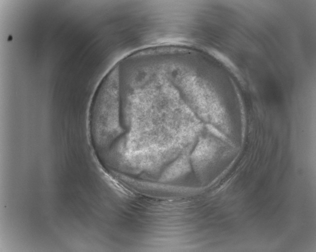 X0000074341423200609230106