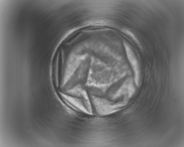 X0000074341424200609230106