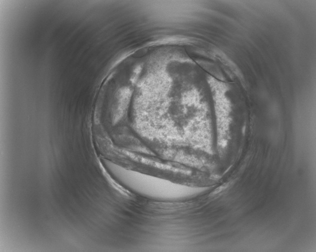 X0000074341425200609230106