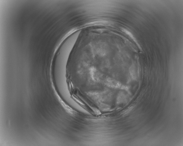 X0000074341426200609230106