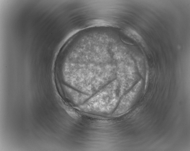 X0000074341427200609230106