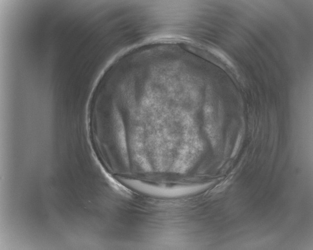 X0000074341430200609230106