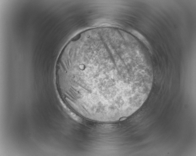 X0000074341431200609230106