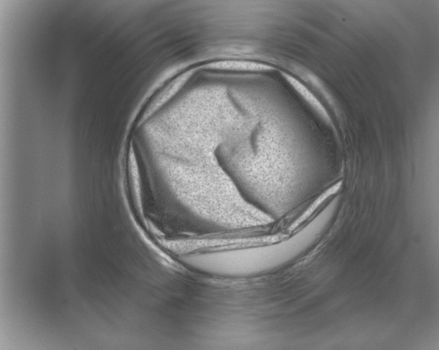 X0000074341432200609230106